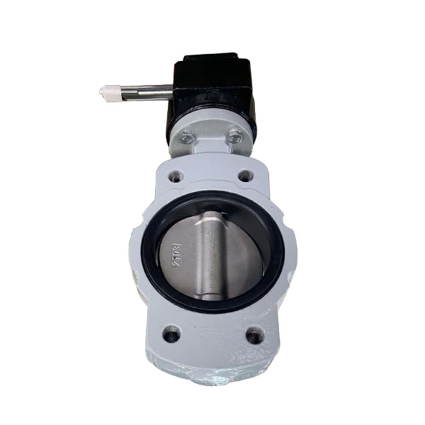 Marine Center Worm Manual Butterfly Valve DN125